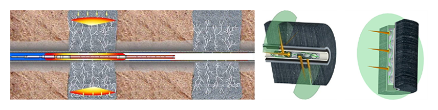 1509415799954014.png 11.png